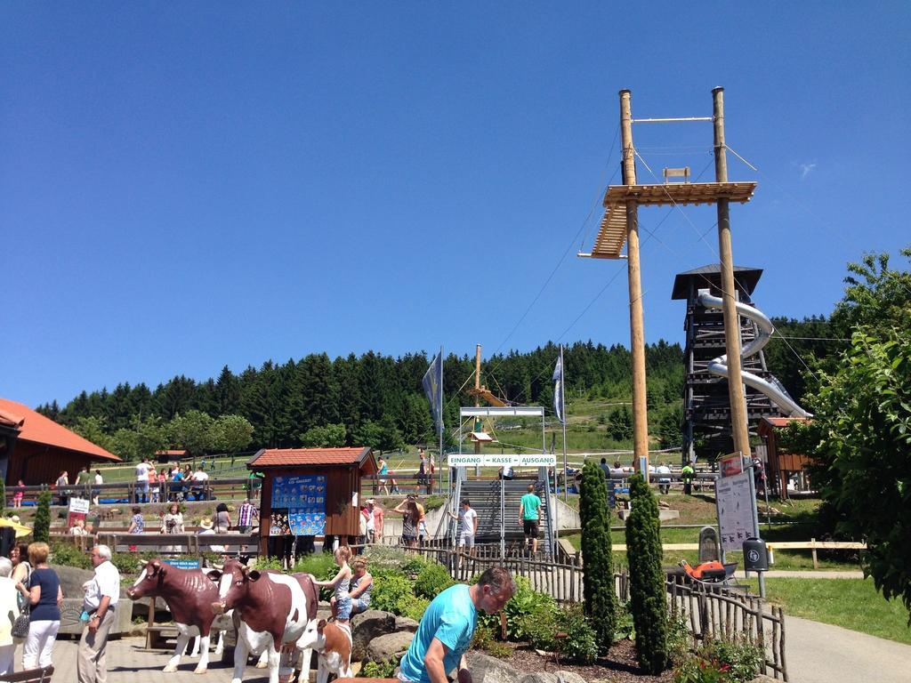 Holiday Flat With Swimming Pool In Prackenbach Viechtach Luaran gambar